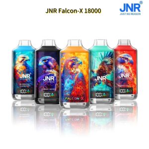 JNR Falcon-X 18000 puffs Disposable E Cigarettes vape 24ml 950mah 18K puffs Popular French products