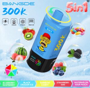c62e7e23f722e12693d8b550707cc631 Bang De 300K 5in1 puffs Disposable E Cigarettes vape 300000 puff