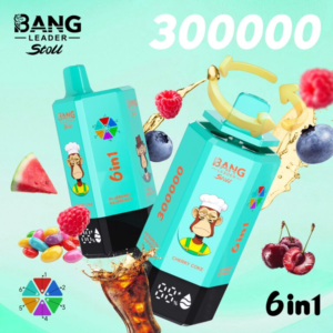 da4b8f2c08121abbf536457a78efca60 Bang Leader 300K 6in1 puffs Disposable E Double Flavors Cigarettes vape 300000 puffs
