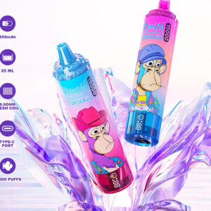 RandM Tornado 15000 puffs Disposable E Cigarettes vape 2% 25ml 850mah 15K puffs