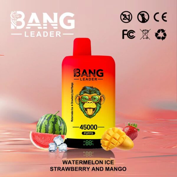 微信图片_20250409151458 Bang Leader 45K puffs Disposable E Double Flavors Cigarettes vape 45000 puff