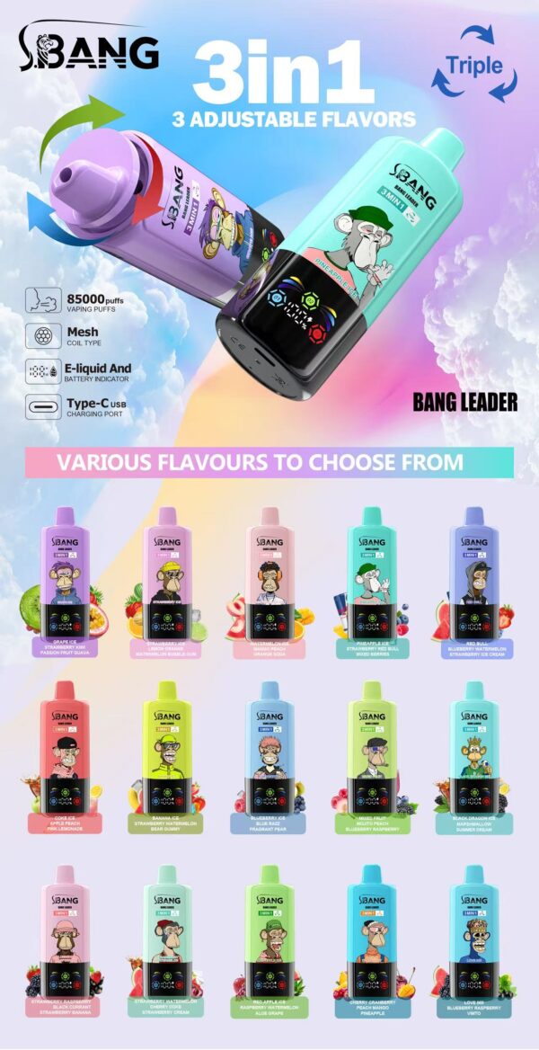 微信图片_20250710110543 Bang Leader 85K 3in1 puffs Disposable E Cigarettes vape 850000 puff