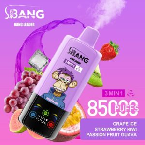 微信图片_20250710110722 Bang Leader 85K 3in1 puffs Disposable E Cigarettes vape 850000 puff
