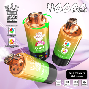 微信图片_20250829175108_123_3 Bang Leader 110K 6in1 puffs Disposable E Double Flavors Cigarettes vape 110000 puff