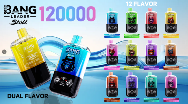 微信图片_20251127100720_175_63 Bang Leader 120K 2in1 puffs Disposable E Cigarettes vape 120000 puff